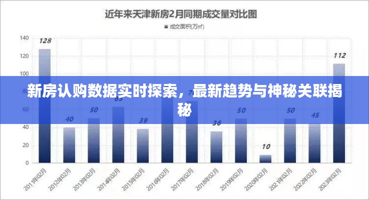 新房认购数据实时探索,最新趋势与神秘关联揭秘