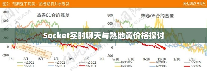 Socket实时聊天与熟地黄价格探讨