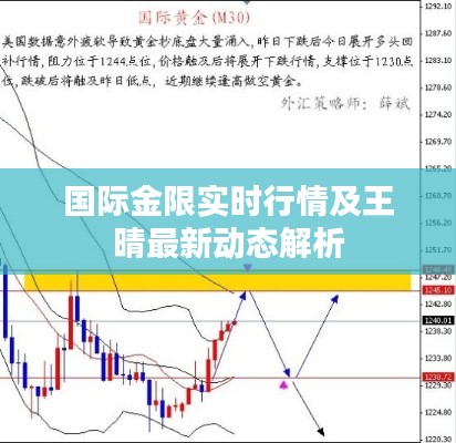 国际金限实时行情及王晴最新动态解析