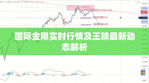 国际金限实时行情及王晴最新动态解析