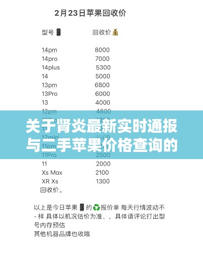 关于肾炎最新实时通报与二手苹果价格查询的探讨