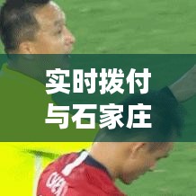 实时拨付与石家庄黄牌车最新政策深度解读及专家建议